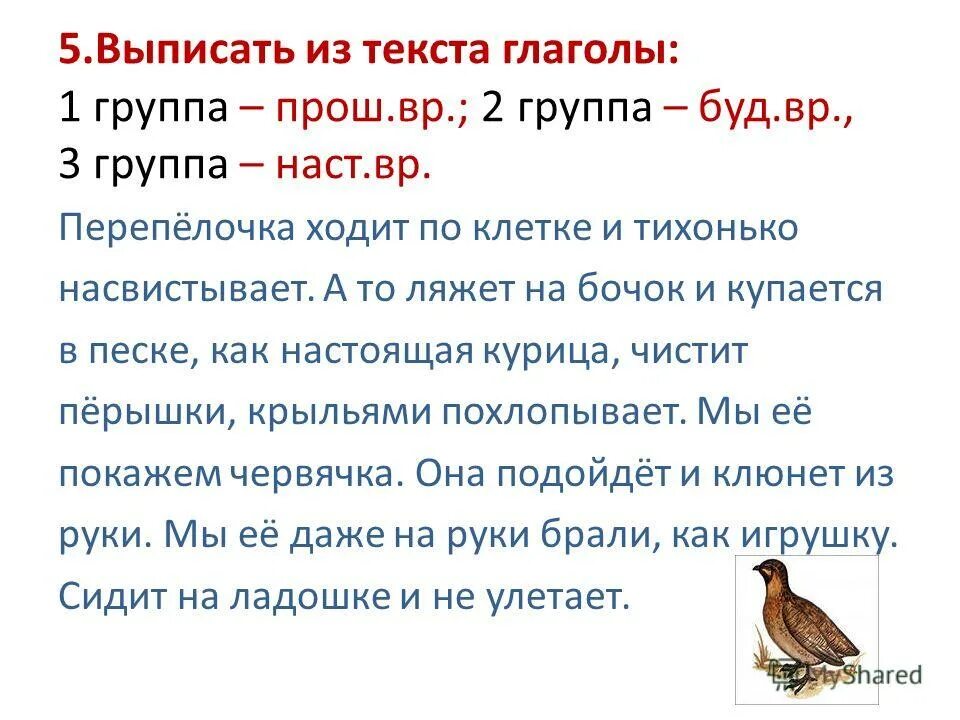 Изменение глаголов по временам задания. Упражнение на определение времени глагола. Упражнения а определение личных окончаний глаголов. Время глагола задания. Времена глаголов упражнения 3 класс.
