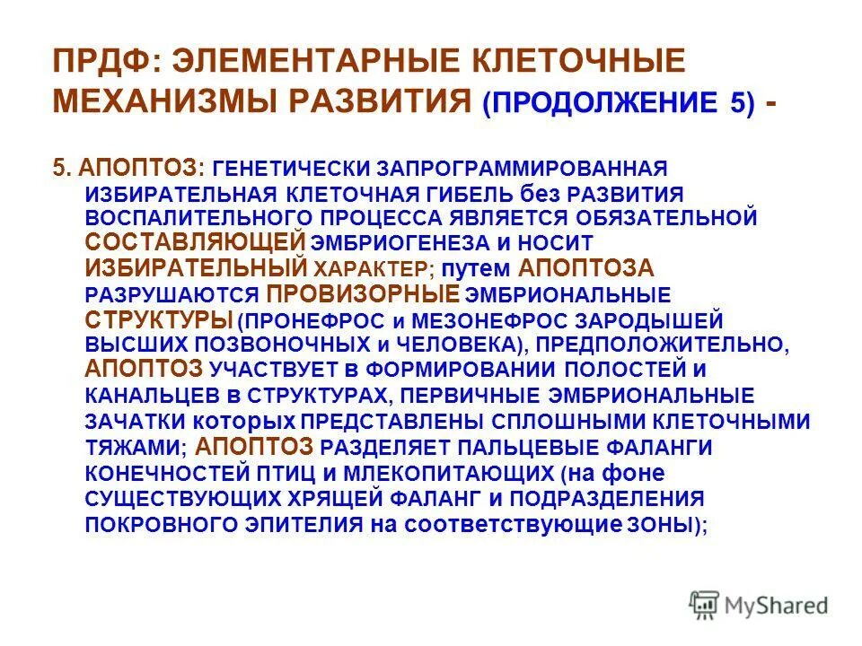 механизмы цитодифференцировки. клеточные механизмы развития. нейруляция механизмы и системы регуляции. клеточные механизмы дробления. эмбриопатии и клеточные механизмы.