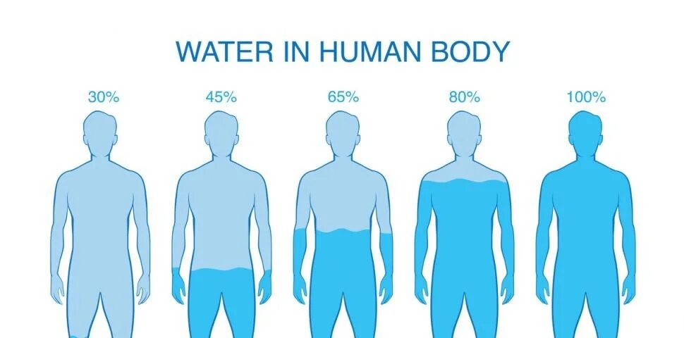 80 процентов мужчин. Человек состоит из воды. Тело человека состоит из воды. Вода и человек. Сколько воды в теле человека.