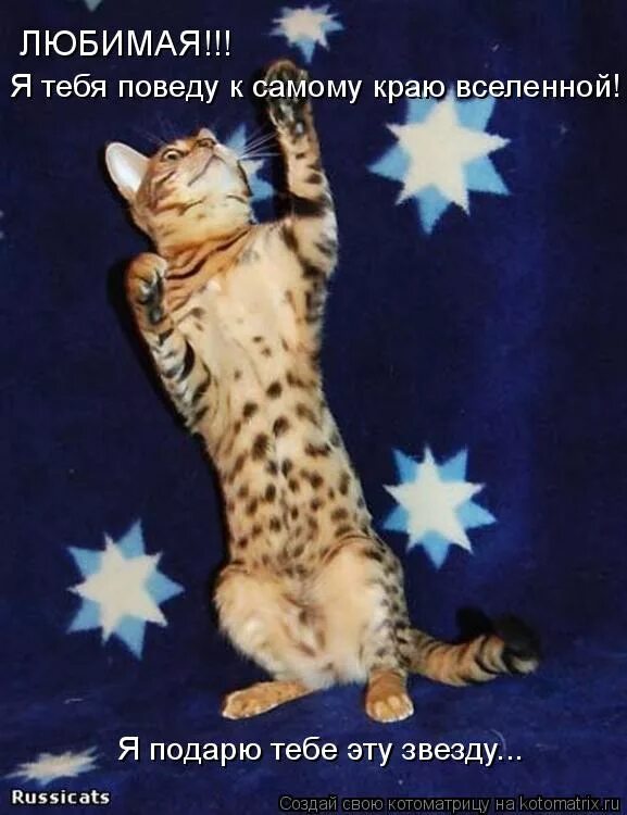 хватать звезды с неба. достать до звезд. здесь хватают звезды с неба. здесь хватают звезды с неба. достать звезду с неба.