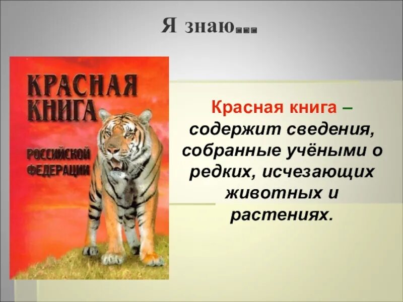 Сделать красную книгу 2 класс. Красная книга проект по окружающему миру 2 класс образец. Проект красная книга окружающий мир. Проект красная книга 2 класс окружающий мир. Проект красная книга России.