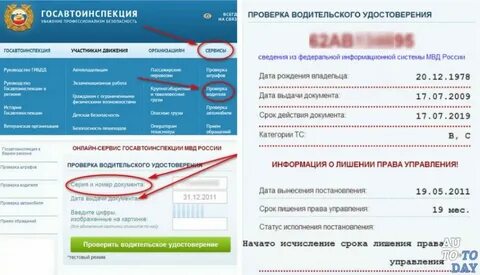 Как узнать дату выдачи водительского