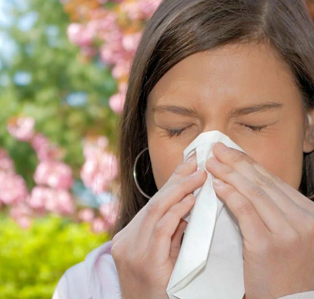 Easy breathing. Аллергические заболевания. Насморк. Аллергический ринит фото.