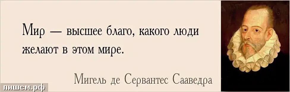 Цитата 19