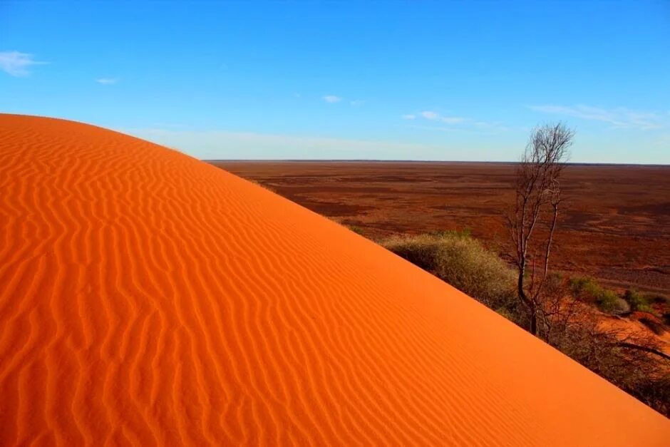 На каком материке крупнейшая пустыня. Большая Песчаная пустыня в Австралии. Great Victoria Desert Австралия.