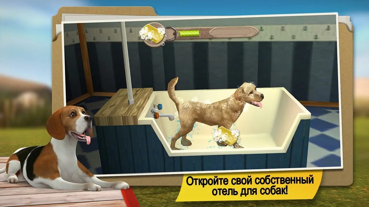 Pet hotel premium. DOGHOTEL мой отель для собак. Отель для собак игра. Игра отель для питомцев приют. Игра про собачку.