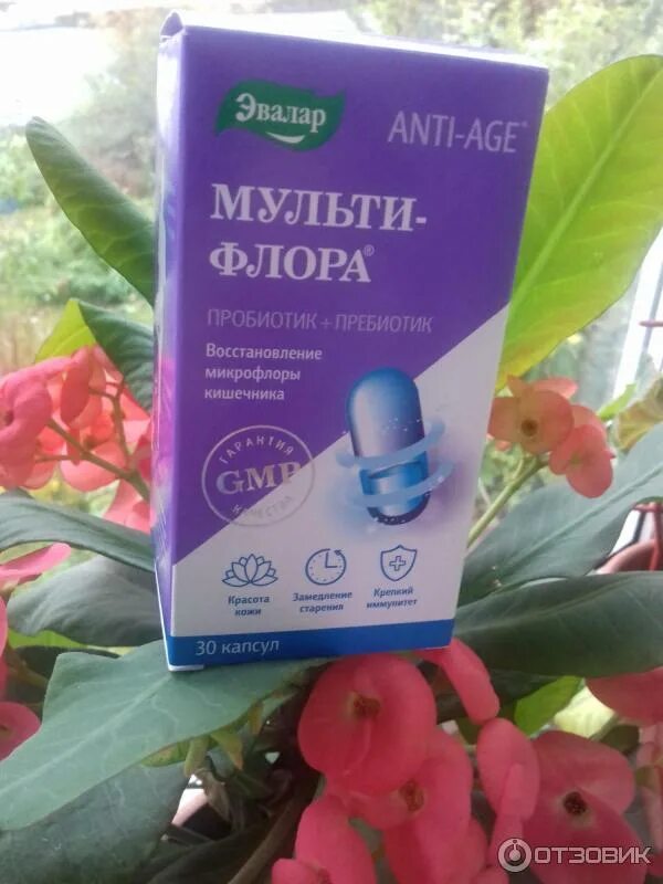 Мультифлора эвалар. Мультифлора капсулы. мультифлора дерма эвалар. мультифлора дента эвалар.