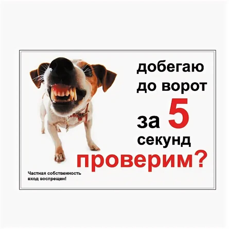 Добегаю до калитки за 2 секунды а ты. 20 метров от ворот. Табличка я добегу до забора за 2 секунды. От ворот до ворот. Добегаю до забора за 2 секунды а ты табличка кане корсо.