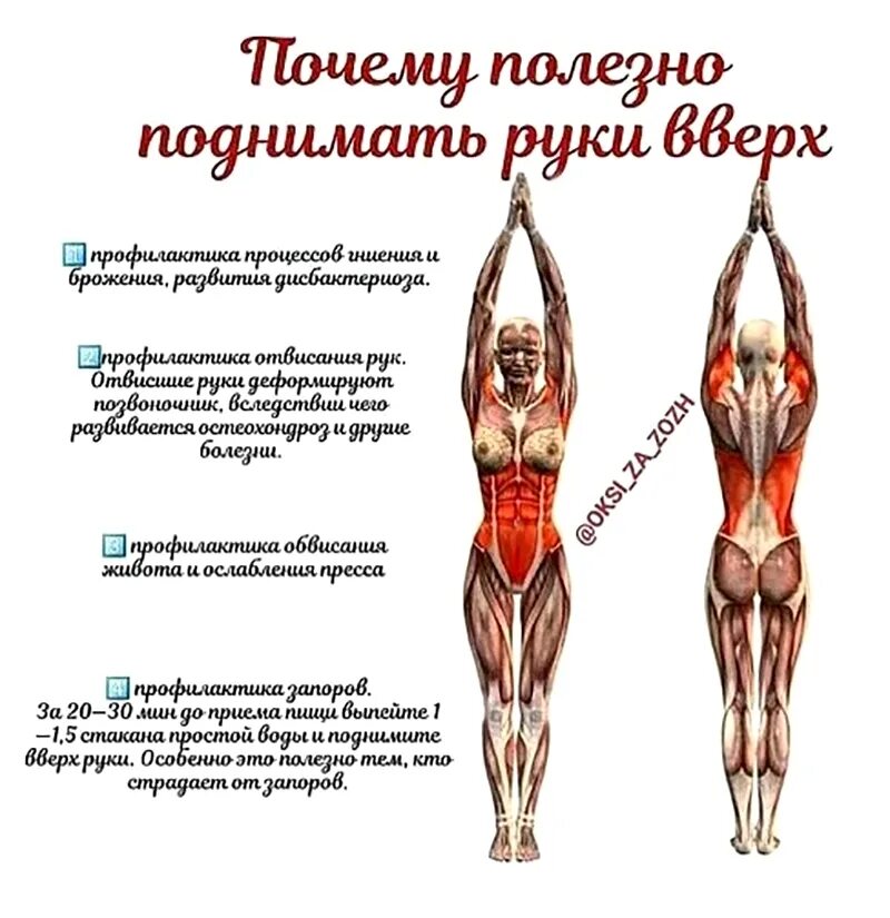 Почему нельзя поднимать. Поднимать руки вверх полезно. поднятые руки вверх польза. почему полезно поднимать руки вверх. почему полезно поднимать руки.