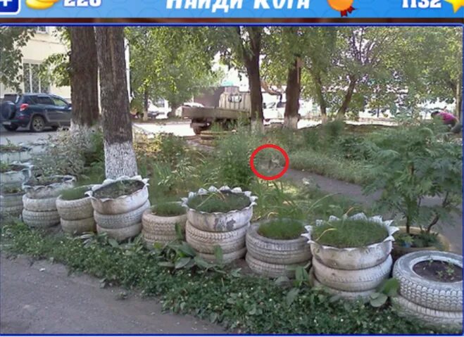 Где можно найти ашки. Инструменты на янове. Где можно найти ашки. Найди кота ответы. Где можно найти ашки.