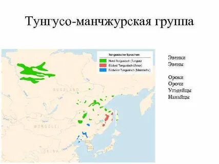 Эвенки языковая семья