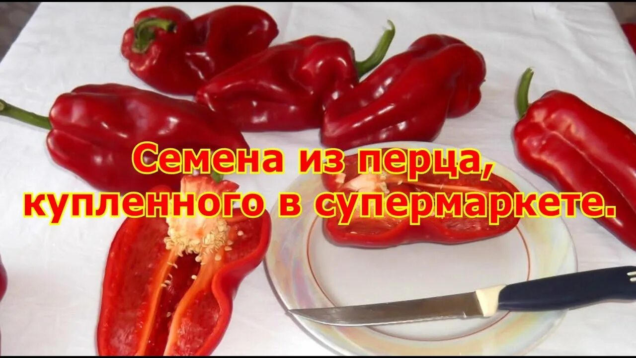 Семена из свежего перца купленного в магазине