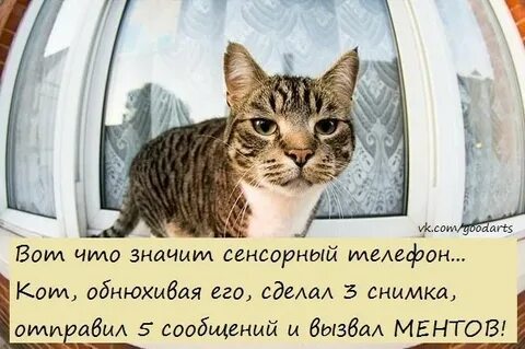 Поставь тут 2