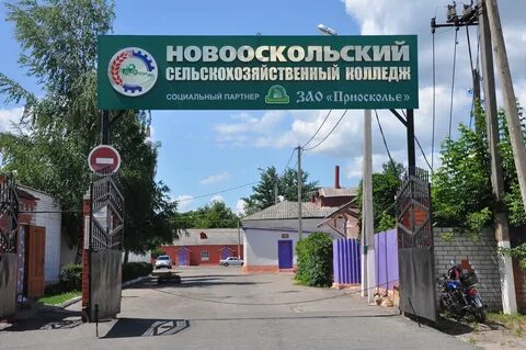 Новооскольский колледж