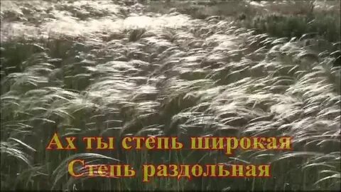 Народная песня ах ты степь
