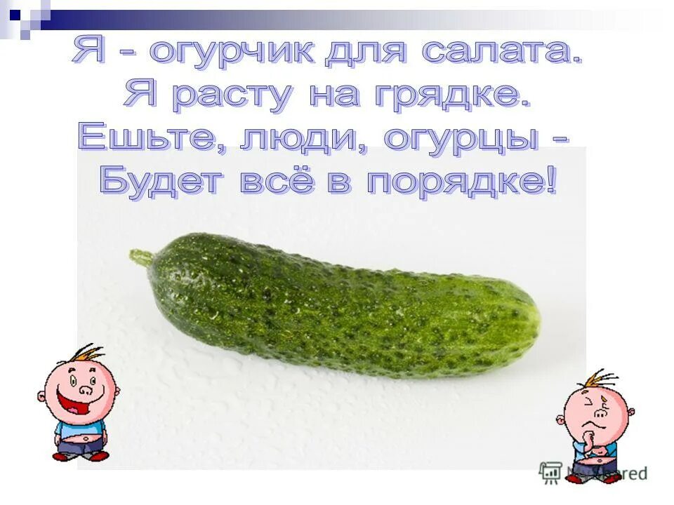 стих про огурец. огурчики стих. огурчики стих. загадка про огурец для детей. стих про огурец.