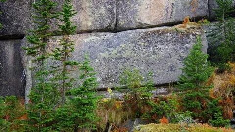 Великая сибирская стена