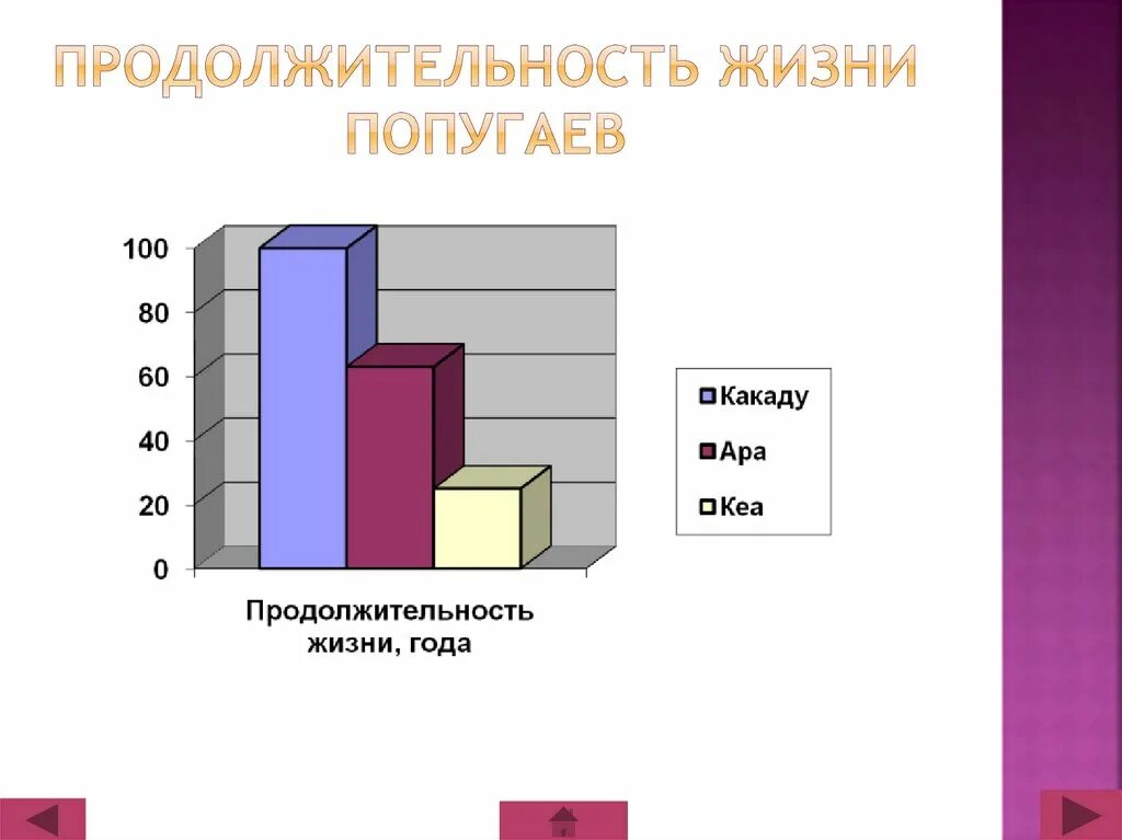 Видео сколько живут. Продолжительность жизни попугая. Продолжительность жизни попугайчиков. Средняя Продолжительность жизни попугая. Таблица продолжительности жизни попугаев.