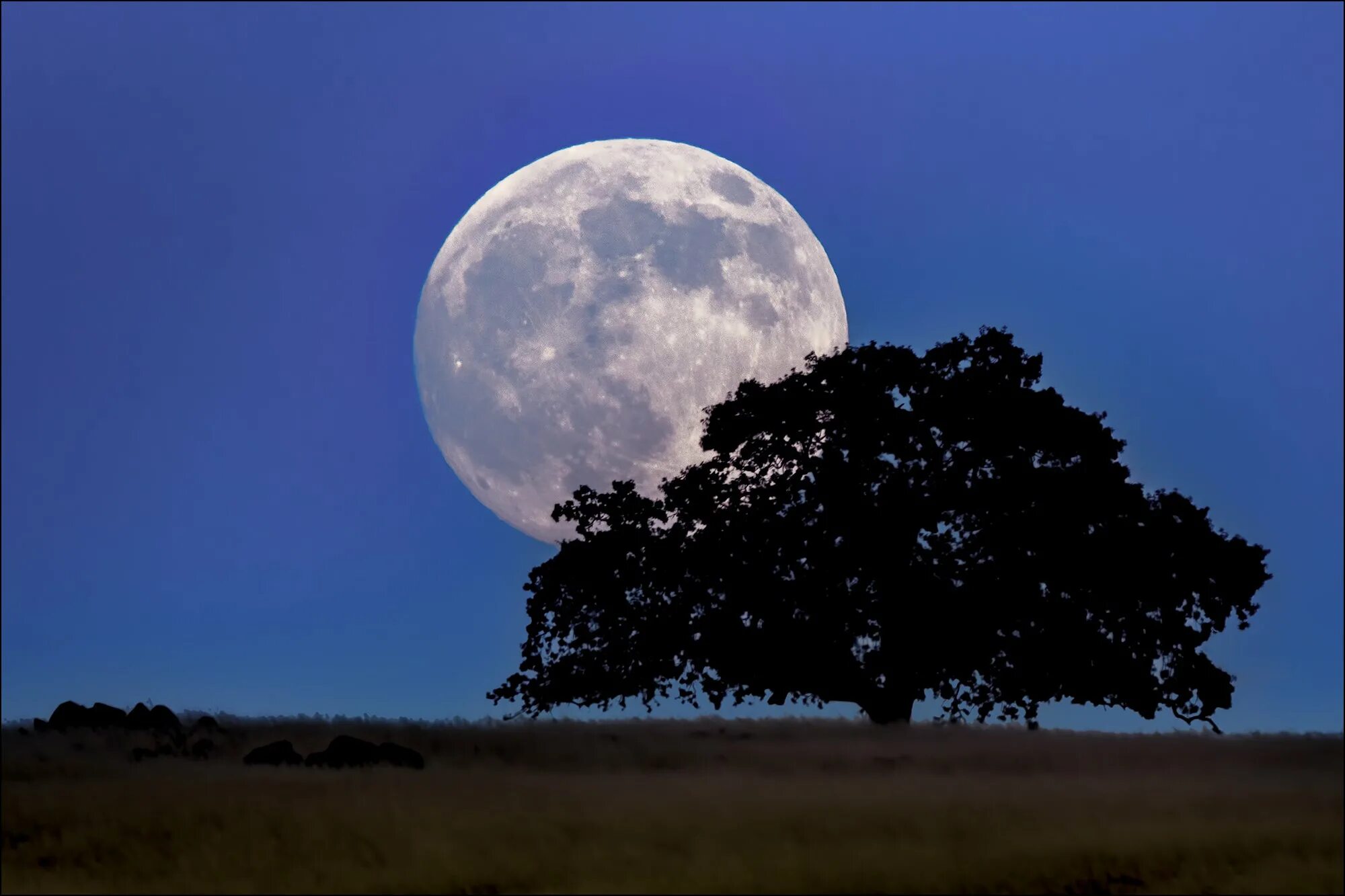 Большая чистая луна. Луна. Красивая Луна. Фото Луны. Луна в реальной жизни.
