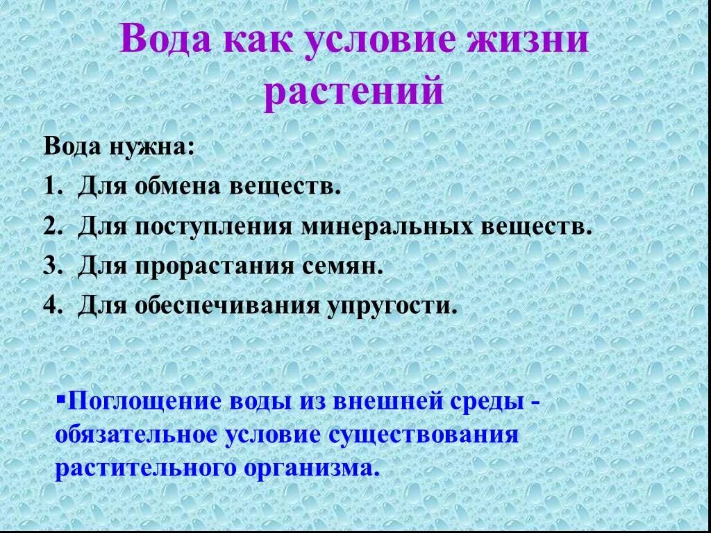 Значение воды для растений кратко