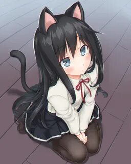 Neko hole