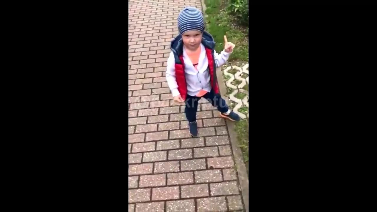 Спроси как у кошечки дела она сказала. Как дела у кошечки видео. Как дела у кошечки она сказала заебись. Как дела у кошечки она сказала заебись. Как дела у кошечки она сказала.