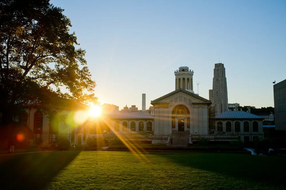 Carnegie university