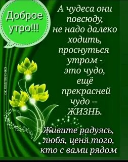 i?id=c7879abd72d381e3379359b0c8114da582e2b00e-4012690-images-thumbs&n=13