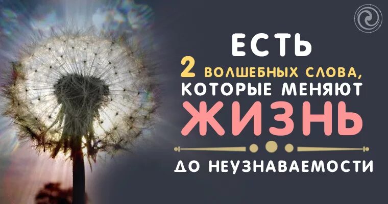 Слова песни два волшебных слова. Слова песни волшебник изумрудного города. Слова песни два волшебных слова. Два волшебный слова. Известные волшебные слова.