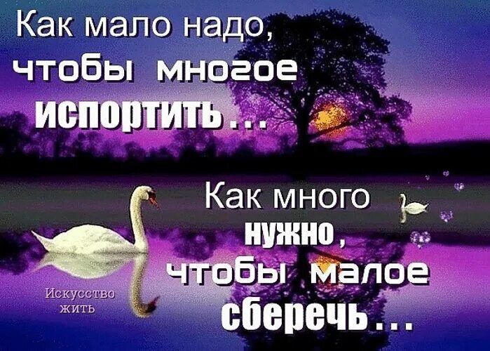 Чтобы много знать надо мало спать солнце. Как мало надо чтобы многое испортить как много нужно. Как мало надо чтобы многое испортить. Как мало надо многое испортить. Как много нужно Малое сберечь... Картинка как мало надо чтобы многое испортить.