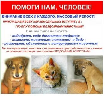 Е1 поможем чем сможем животные