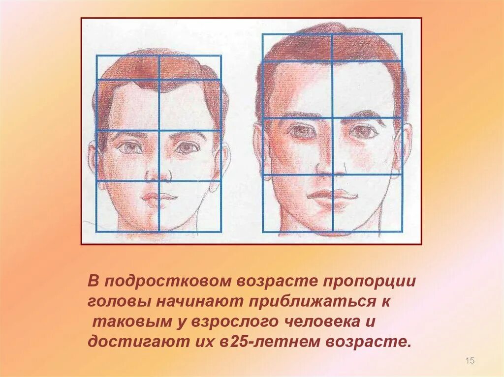 Лица по возрасту. Пропорции лица ребенка и взрослого. Конструкция головы. Пропорции головы человека. Пропорции головы человека рисунок.