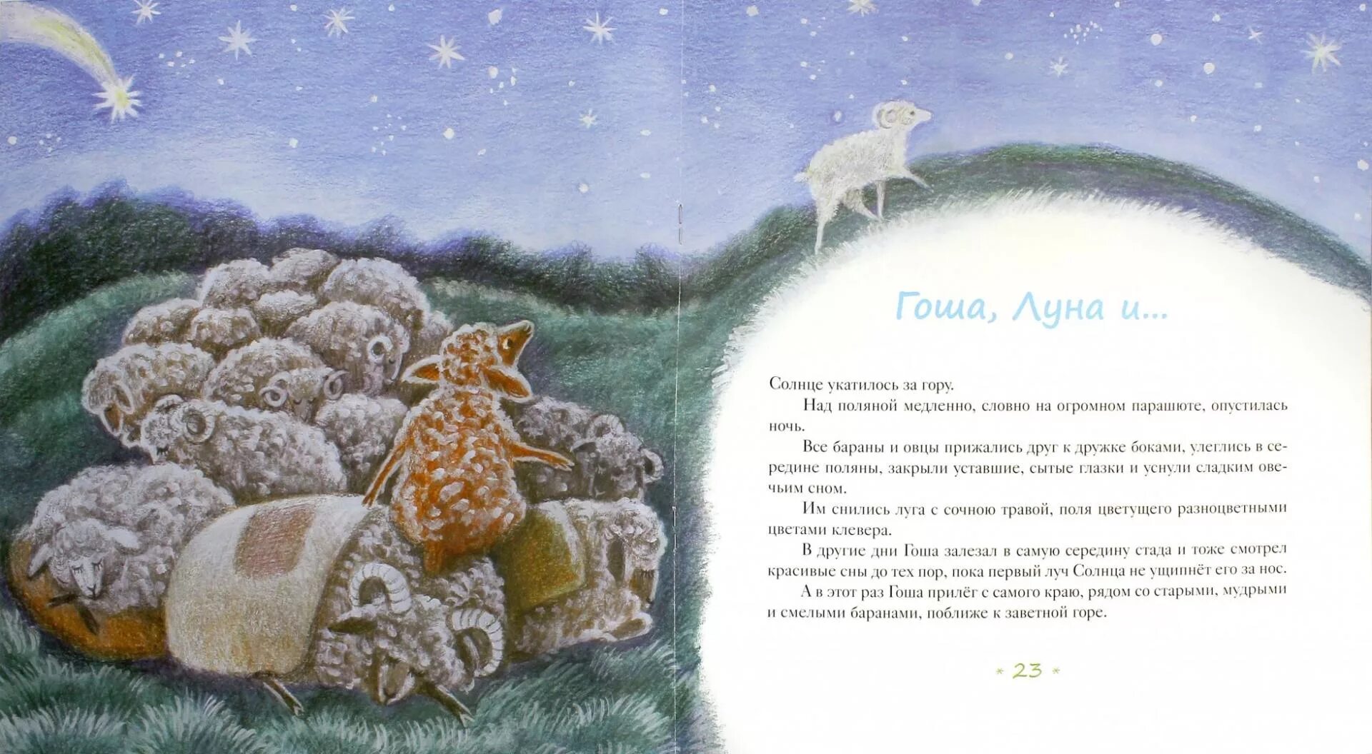 Авторская сказка про овечку. Сказка про барашков. Барашек рисунок. Сказка про овечку. Программа овечка.