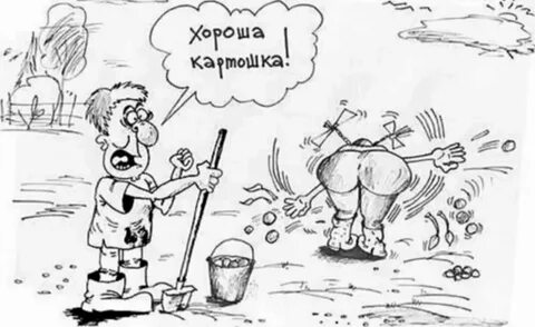 Копал картошку прикол