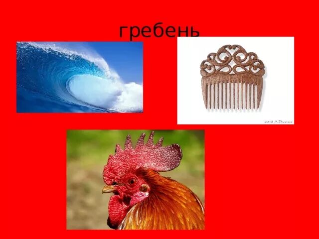 Гребень переносное значение. Гребень переносное значение
