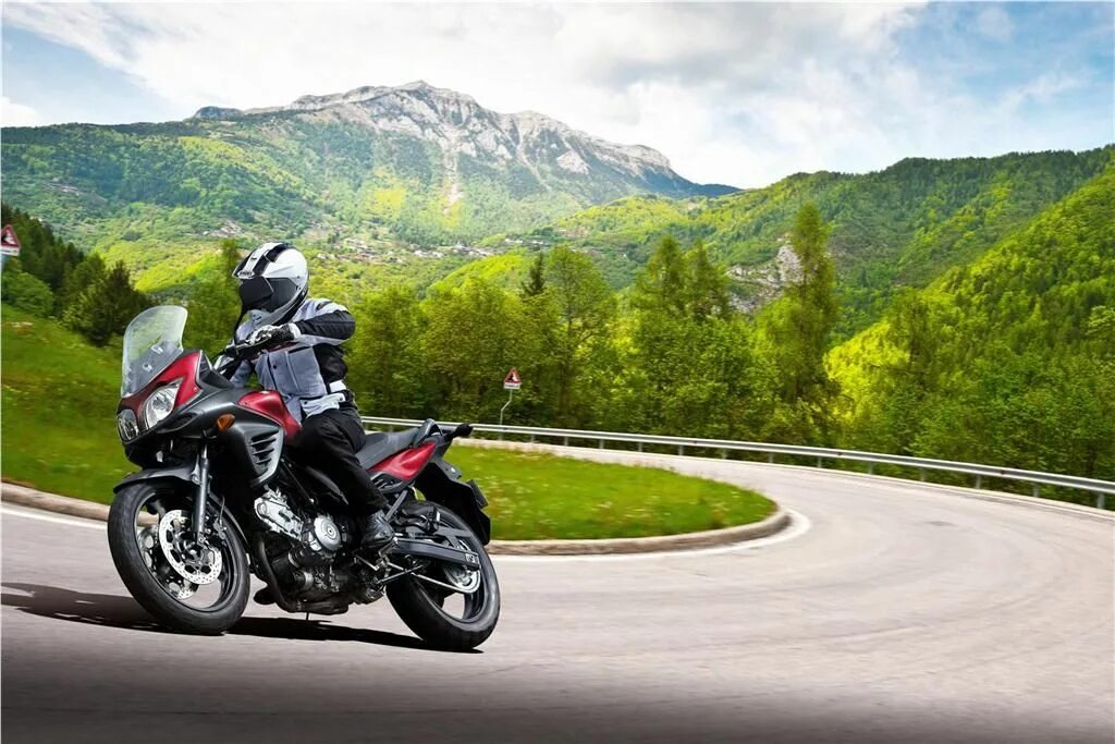 Suzuki v-Strom 650. Suzuki dl650 v-Strom. Сузуки DL 650 V-Strom. Suzuki dl650 v-Strom 2014. V strom dl 650