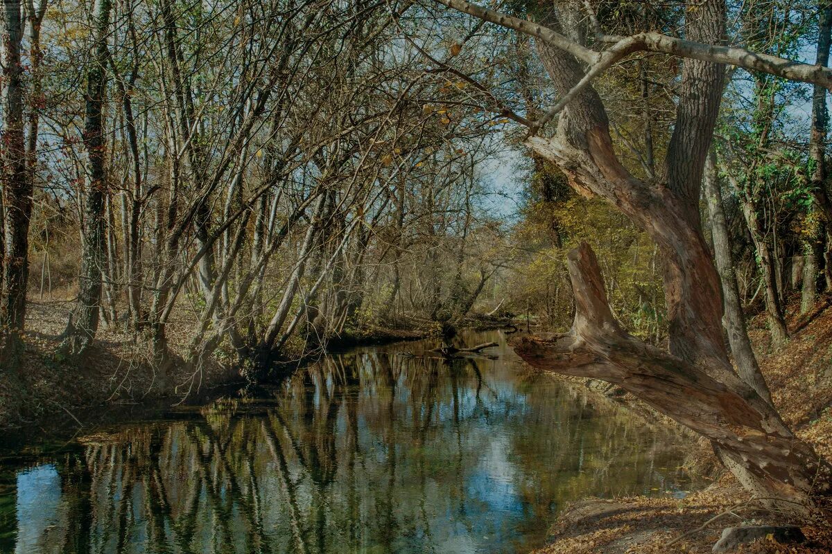 Темная река слушать. Река черная Севастополь. Черная речка картинки. Деревянй реки чорный купить.