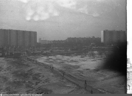 Беляево погода московская