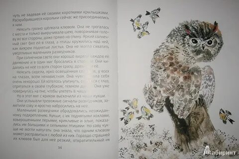 Бианки сова текст распечатать