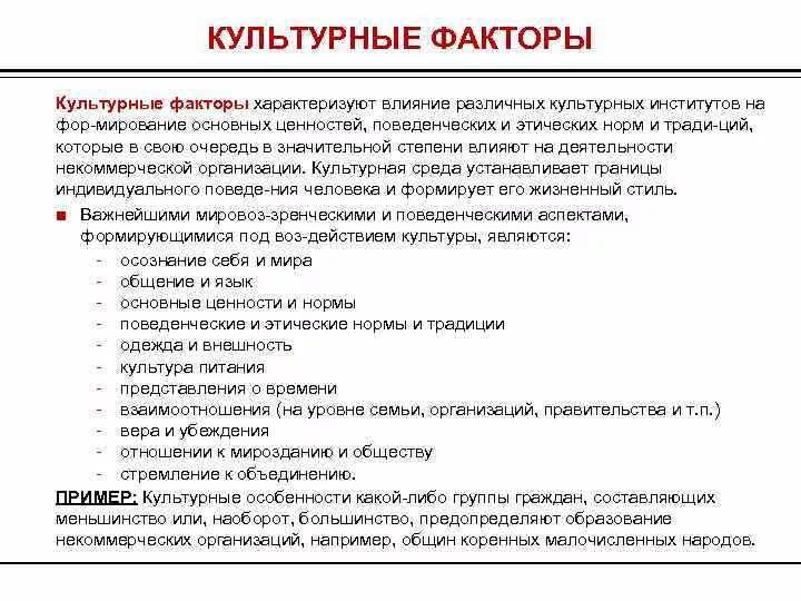 Культурные факторы организации