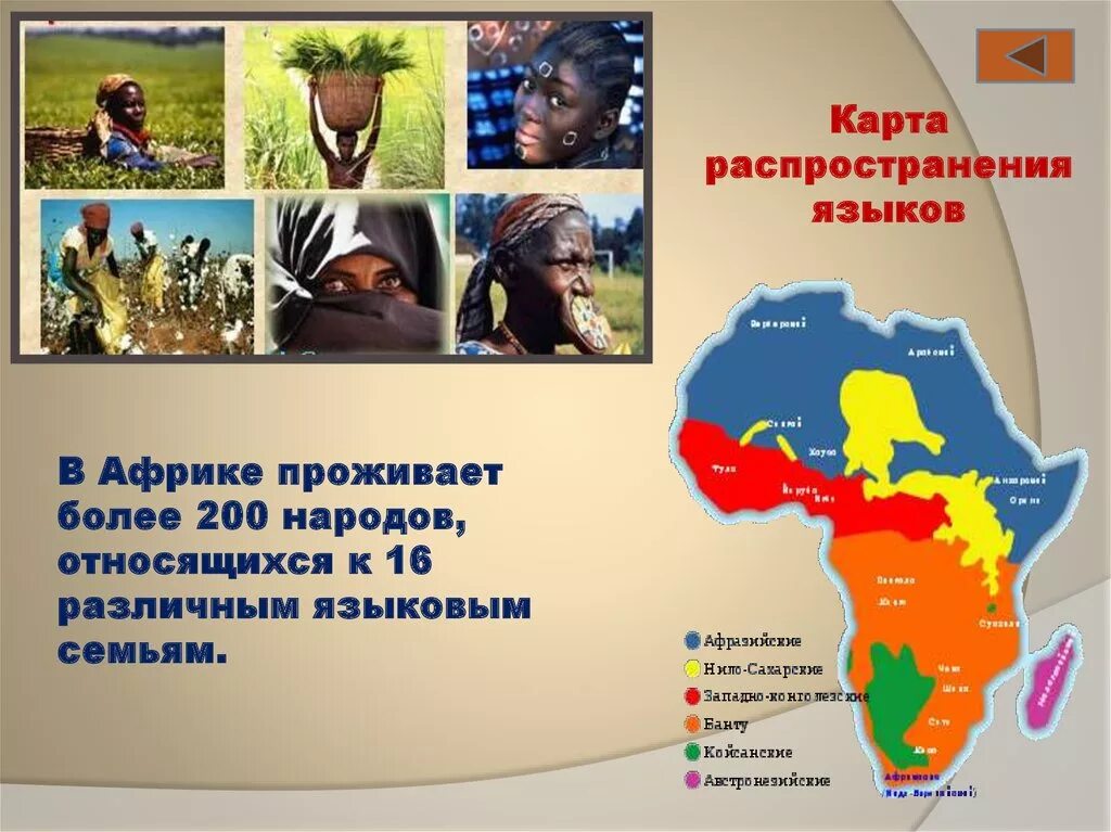 Крупнейшие народы африки. Размещение народов африки. Расы африки карта. Жители африки. Страны африки и их народы.