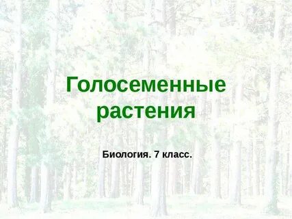 Проекты по биологии растения