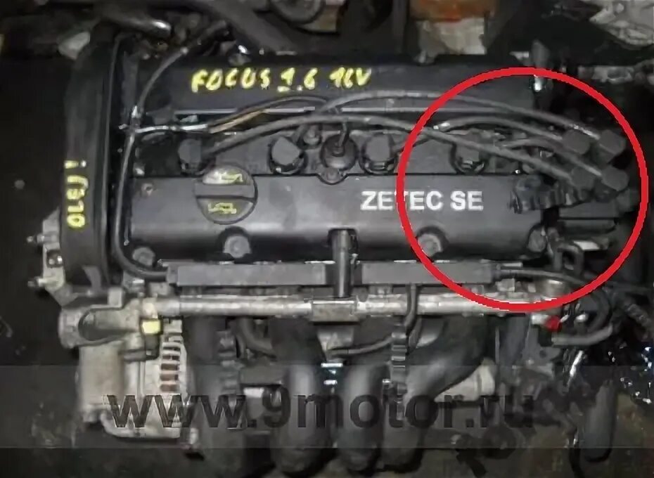 Расположения цилиндров фокус 2 Ford Focus II "Duratec 2.0 L 145 Hp" YouTube