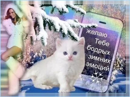 Крепкого здоровья картинки зимние