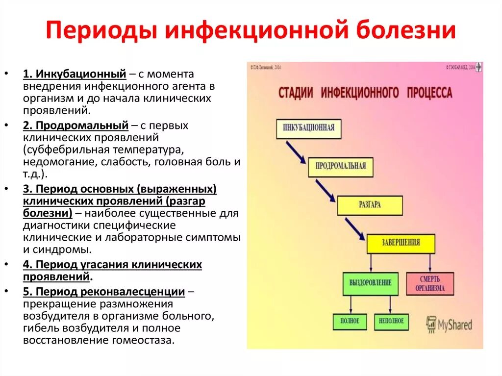 Описание развития болезни. Назовите и охарактеризуйте периоды течения инфекционной болезни. Охарактеризуйте периоды инфекционных болезней. Последовательность периодов развития инфекционного заболевания. Перечислите по порядку периоды развития инфекционного заболевания.