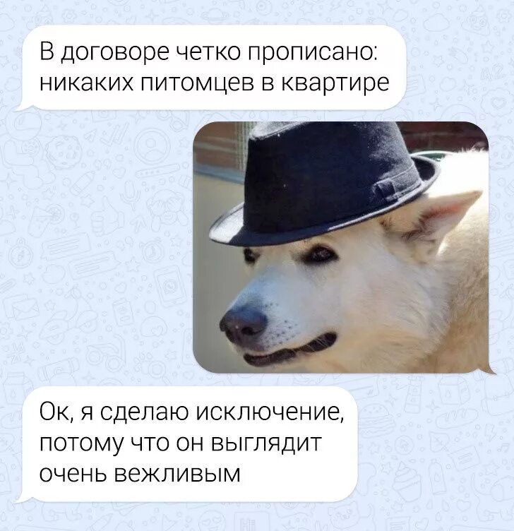 Может он не разрешит