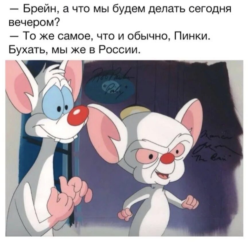 Что делать завтра вечером