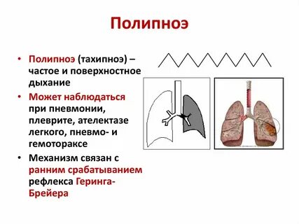 Сила вдоха