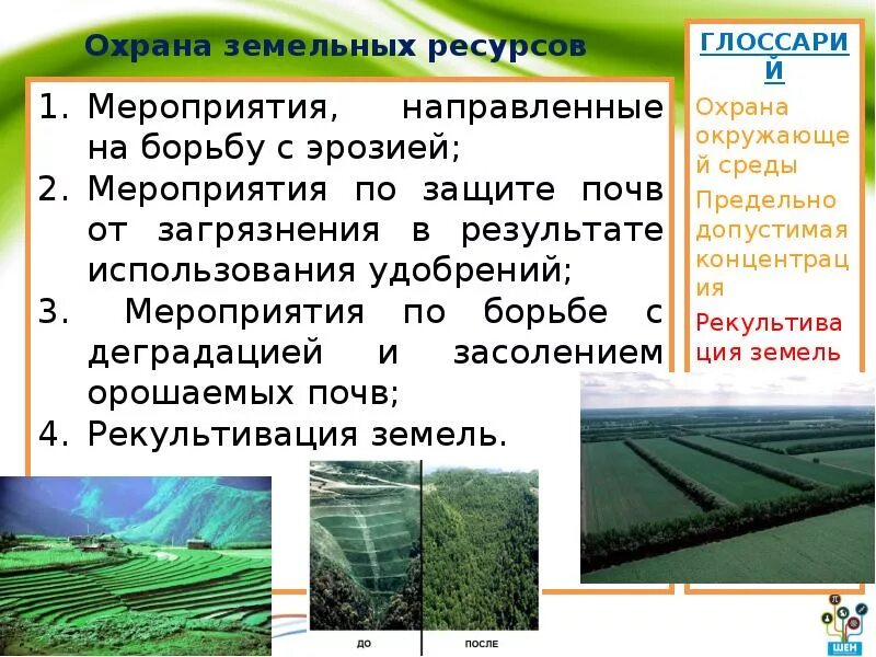 Управление охраной земельных ресурсов. Охрана земельных ресурсов. земельные ресурсы меры по охране. мероприятия по охране земельных ресурсов. методы рационального использования земельных ресурсов.