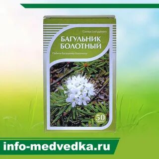 Багульник болотный инструкция по применению